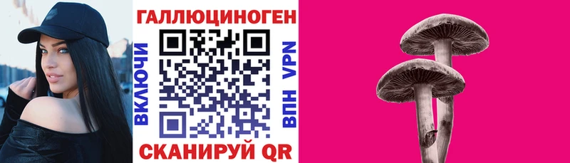 Купить где  Себеж  Псилоцибиновые грибы Cubensis 